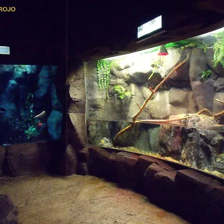 Atico Acogedor Lujoso Check-in 24h Penthouse 5 Planta 5 萨拉戈萨